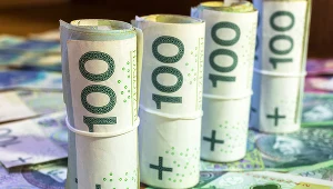 Od początku roku do końca września przybyło 66 mld złotych w postaci 450 mln banknotów (zdj. ilustracyjne)