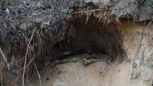 Mazowieckie: Odnaleziono szczątki trzech żołnierzy niemieckich 