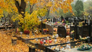 Cmentarz Bródnowski w Warszawie, zdj. ilustracyjne