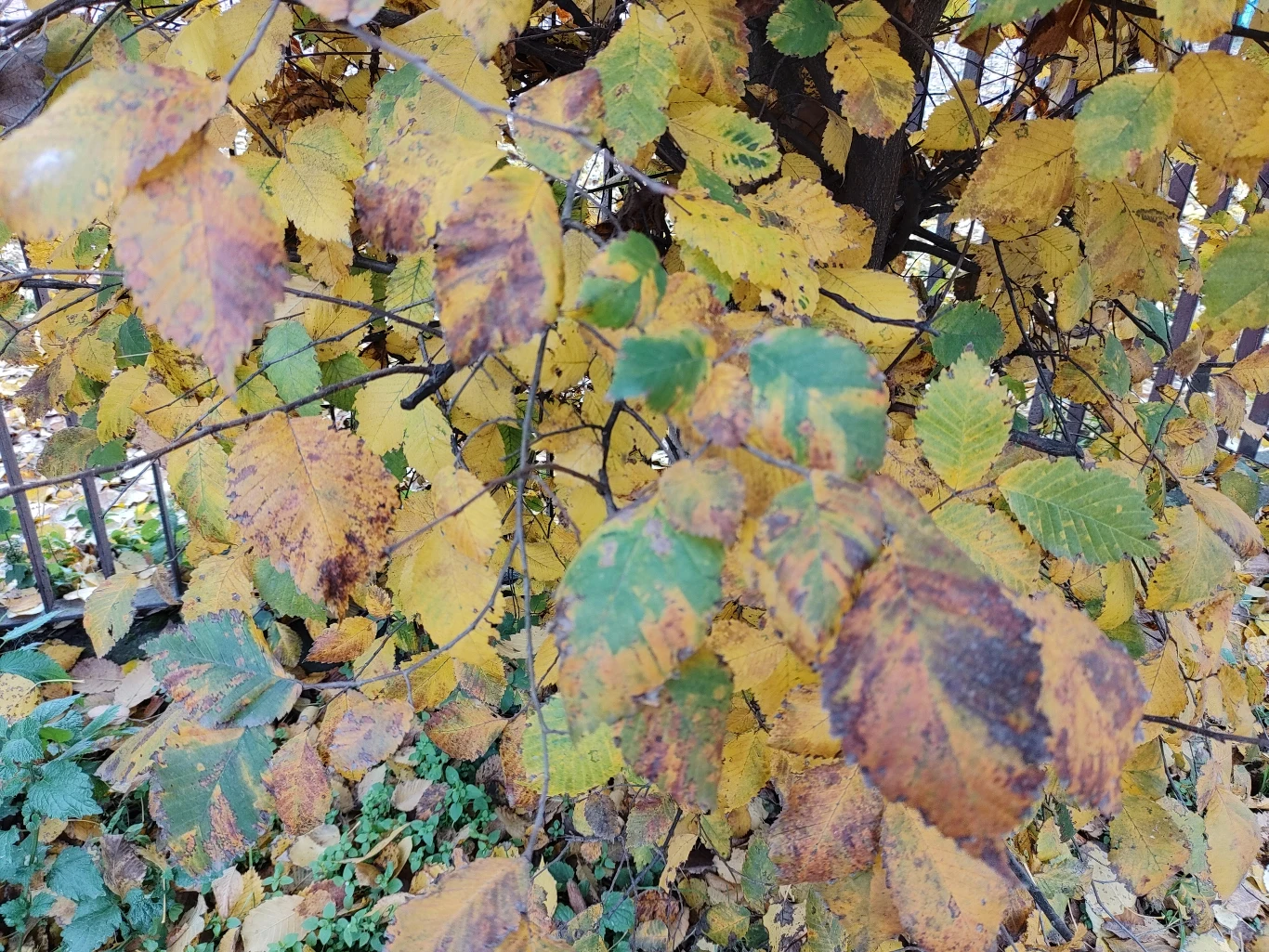 Nokia 8.3 5G - przykładowe zdjęcie