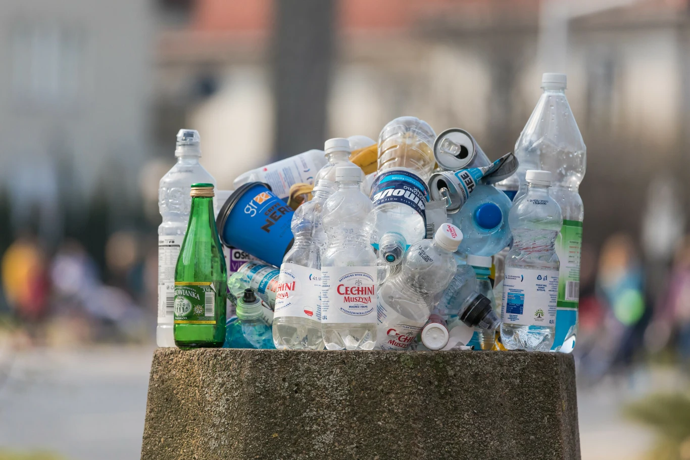 Przepełniony kosz na śmieci w Warszawie