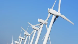 Polska ma ambitne plany w zakresie budowy morskich farm wiatrowych