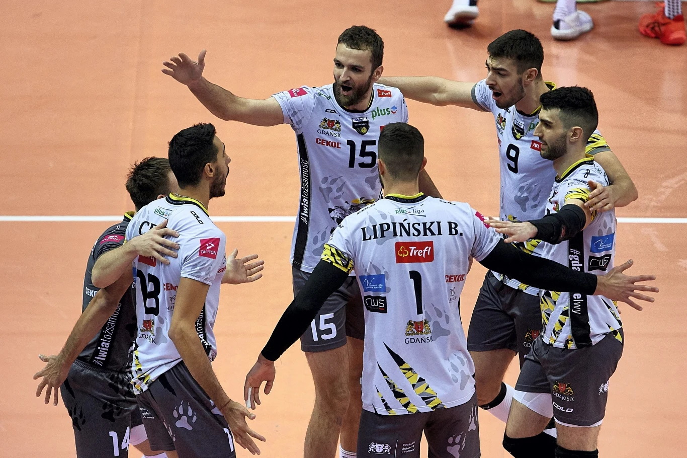 Siatkarze Trefla Gdańsk Siatkarze Trefla Gdańsk