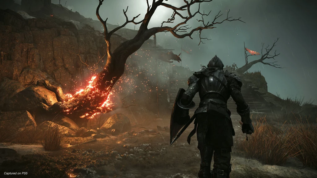 Demon's Souls Demon's Souls