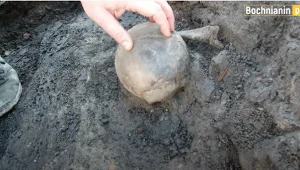 Czaszka znaleziona podczas prac na rynku w Bochni