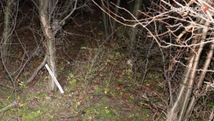 W lesie policja znalazła zastawione przez kłusownika pułapki