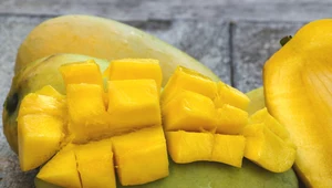 Uczeni odkryli, że mango spożywane w odpowiedniej ilości zmniejsza zmarszczki