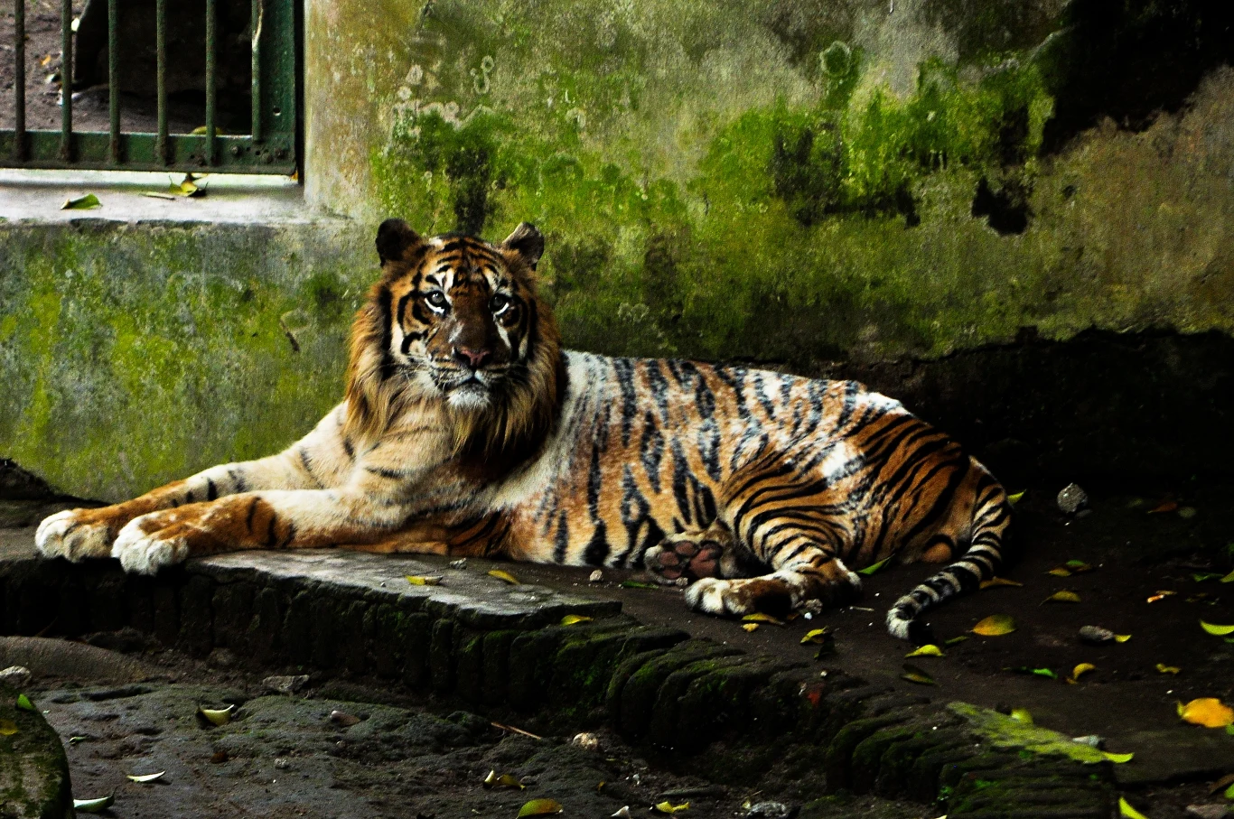 Jeśli niczego nie zmienimy, estymacje wskazują, że do 2100 liczba gatunków zgładzonych przez ludzi osiągnie 30 tys.