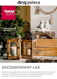 Zaczarowany las w Home&You