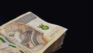 Oszuści wyłudzają pieniądze z tarczy finansowej