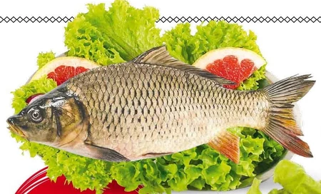 Karp