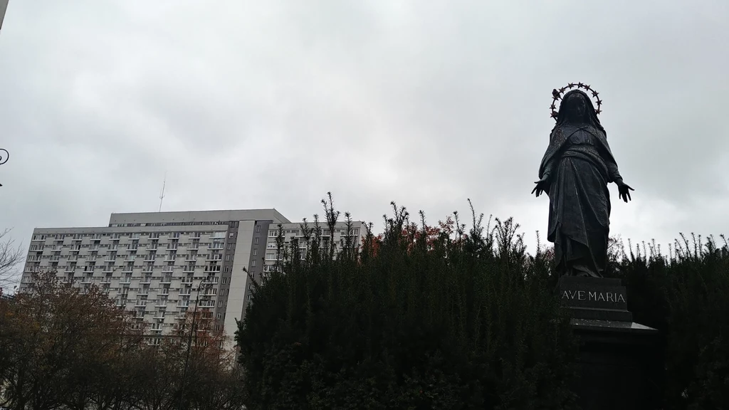 Jak to możliwe, że w samym sercu Warszawy wyrosło 19 bliźniaczo do siebie podobnych, dość przytłaczających bloków? Cóż, teren pod ich budowę już był, choć jego historia jest nieco przygnębiająca. Działania wojenne zrównały z ziemią to, co wcześniej się tam znajdowało. "W holach światowo, w mieszkaniach krajowo" - wnętrza bloków mogą zaskoczyć. Okazałe, dobrze doświetlone przestrzenie wspólne kontrastują tam z ciasnymi lokalami. Czy rekompensują mieszkańcom niewygody? Trudno orzec. Pierwszymi lokatorami słynnych bloków były przede wszystkim młode rodziny z dziećmi - one rzeczywiście mogły narzekać na ciasnotę. Dość powiedzieć, że większość mieszkań osiedla ma mniej niż 40 m². Są tacy, którzy twierdzą, że pod względem architektonicznym nie ma czego żałować - nieliczne zabytki jakimś cudem pozostały nietknięte i dziś cieszą oko patrzącego, urozmaicając surowy krajobraz. A naturalistyczny opis wszechobecnej biedy, brudu i odstraszających wyziewów, jaki Stefan Żeromski zawarł w "Ludziach bezdomnych" każe przypuszczać, że mało kto z własnej woli zapuszczał się w te rewiry.