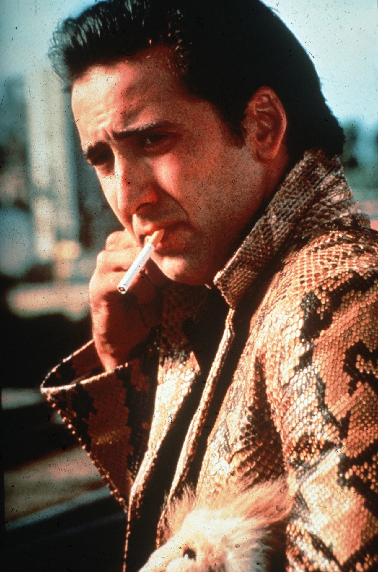 Cage od początku wypracował specyficzny styl, polegający na nagłych zmianach nastrojów jego postaci i przesadzonej ekspresji. Niektórzy nazywali go przez to aktorem przerysowanym. Pojawiali się jednak twórcy, którzy potrafili wykorzystać talent aktora. Jednym z nich był David Lynch, który obsadził go w roli głównej w nagrodzonej w Cannes "Dzikości serca" (1990).

W brutalnym romansie Cage wcielił się w będącego na zwolnieniu warunkowym mordercę, który wraz ze swoją ukochaną postanawia uciec do Kalifornii. Nie podoba się to matce dziewczyny, która posyła za nimi płatnych zabójców. W czasie zdjęć Lynch niemal bez przerwy przepisywał dialogi i wymagał od swych aktorów spontaniczności. Cage przyznał później, że praca z nim była najważniejszą lekcją aktorstwa w jego życiu.