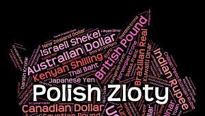 Złoty najbardziej niedowartościowaną walutą 