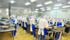 Liczba osób pracujących w gospodarce narodowej w końcu stycznia br. zmniejszyła się. Wzrosła za to średnia wieku i mediana wieku pracujących