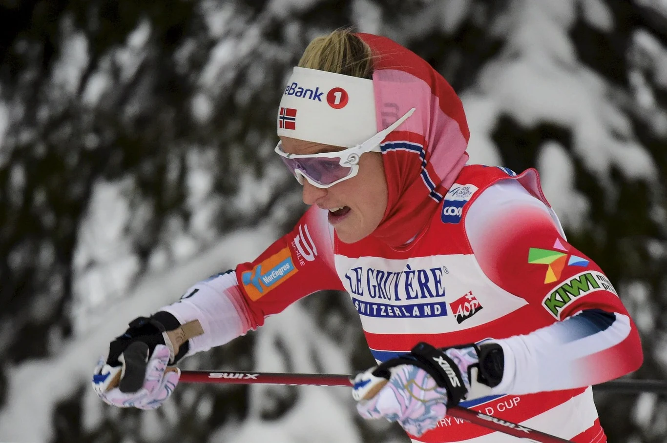 Therese Johaug wygrała poprzednią edycję Tour de Ski Therese Johaug wygrała poprzednią edycję Tour de Ski