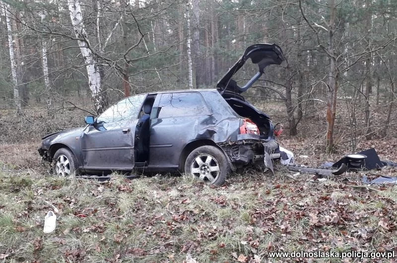 Kierowca miał szczęście, że w drzewa uderzył prawą stroną samochodu