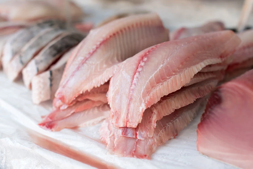 Tilapia - jedna z kontrowersyjnych ryb 