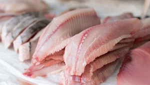 Tilapia - jedna z kontrowersyjnych ryb 