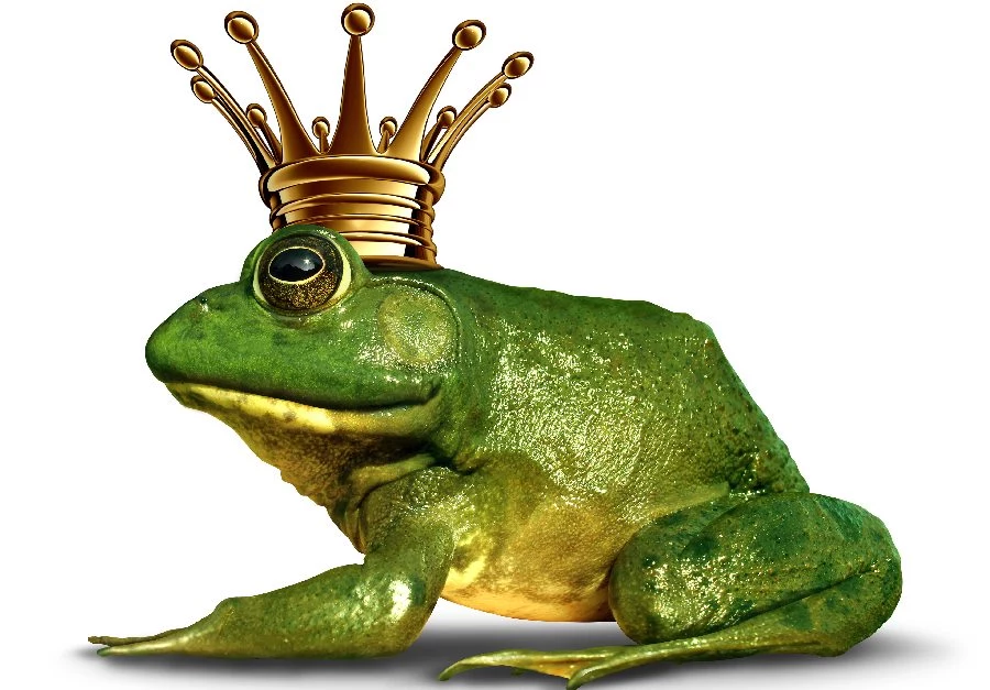 Żaba powinna mieć koronę 