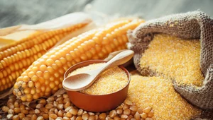 Mąka kukurydziana 