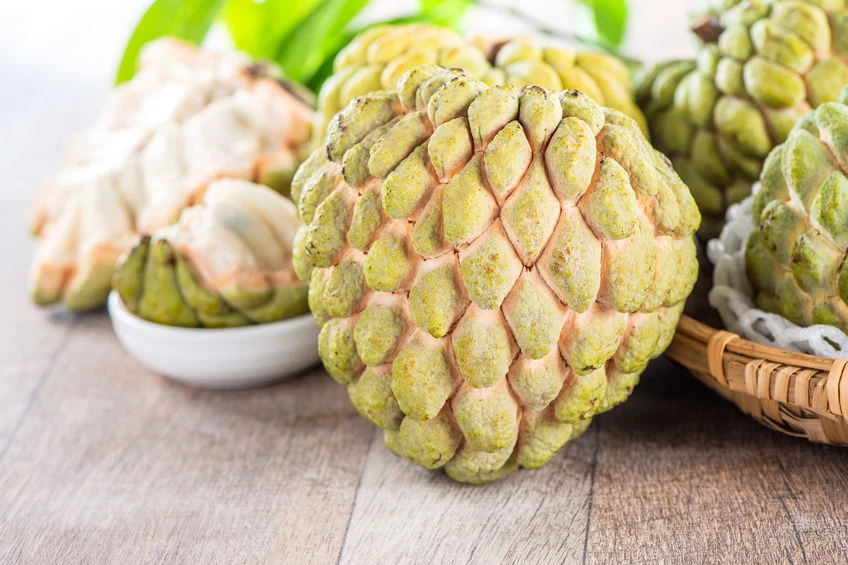 Cherimoya 