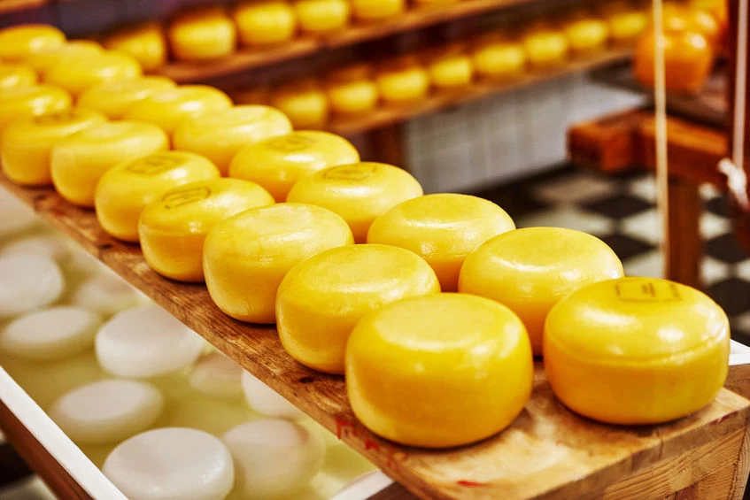 Produkcja sera