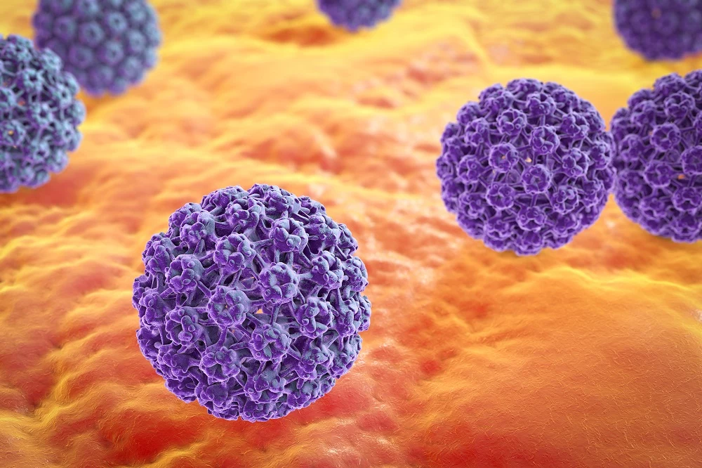 Wirus HPV 