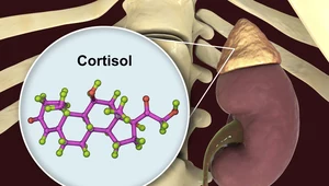 Kortyzol: Jak objawia się niedobór i nadmiar hormonu stresu?