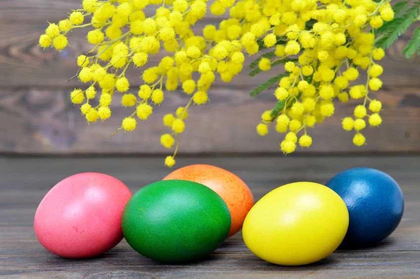 Jak barwić jajka naturalnymi środkami? 