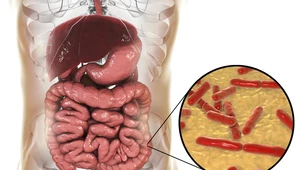 Jak odbudować florę bakteryjną jelit?