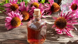 Echinacea: Właściwości i zastosowania