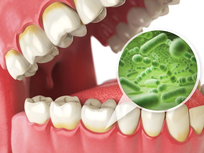 Bakterie w jamie ustnej 