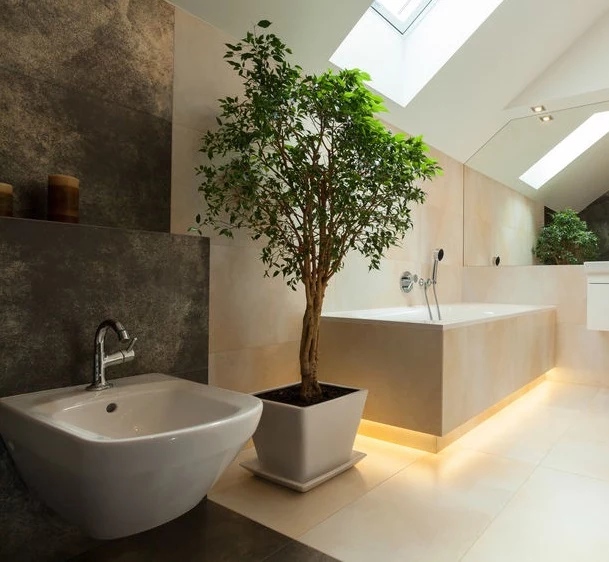 Jakie rośliny będą najlepiej rosnąć w łazience? 