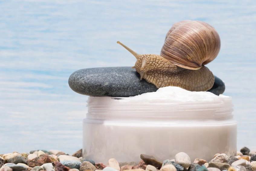 Kosmetyki z nietypowymi składnikami Kosmetyki z nietypowymi składnikami