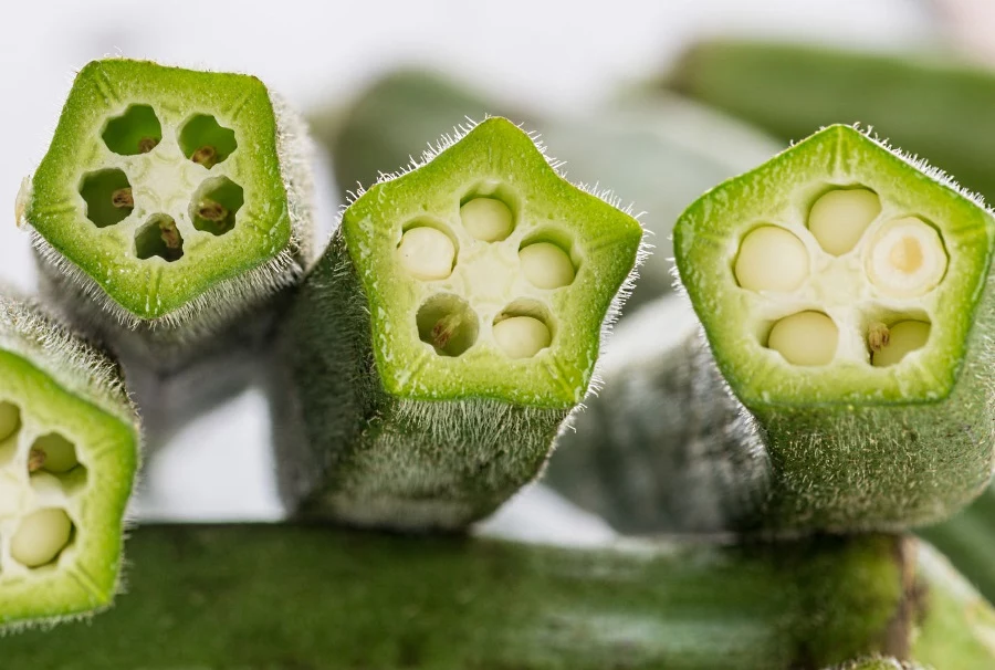 Okra
