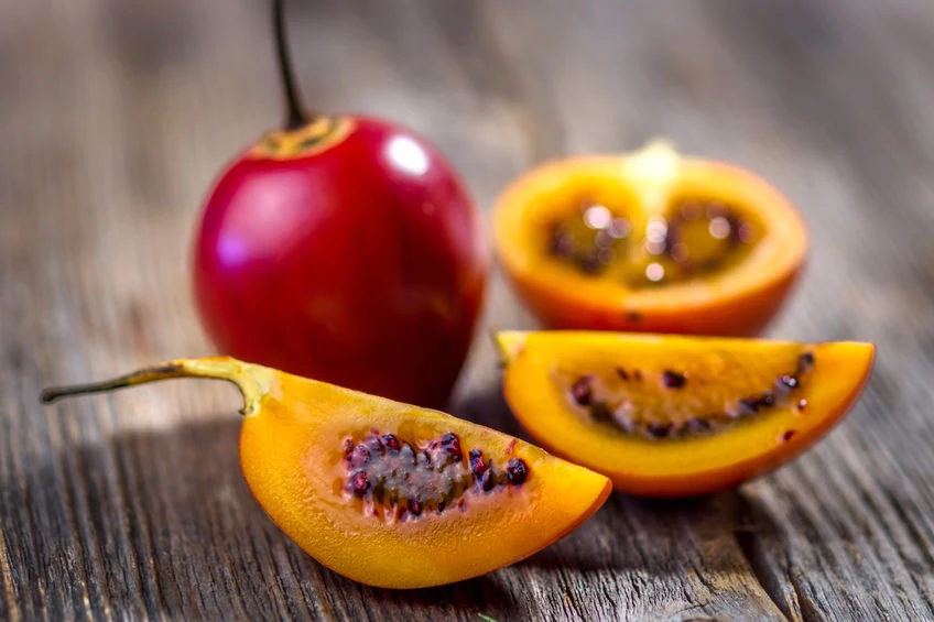 Tamarillo 