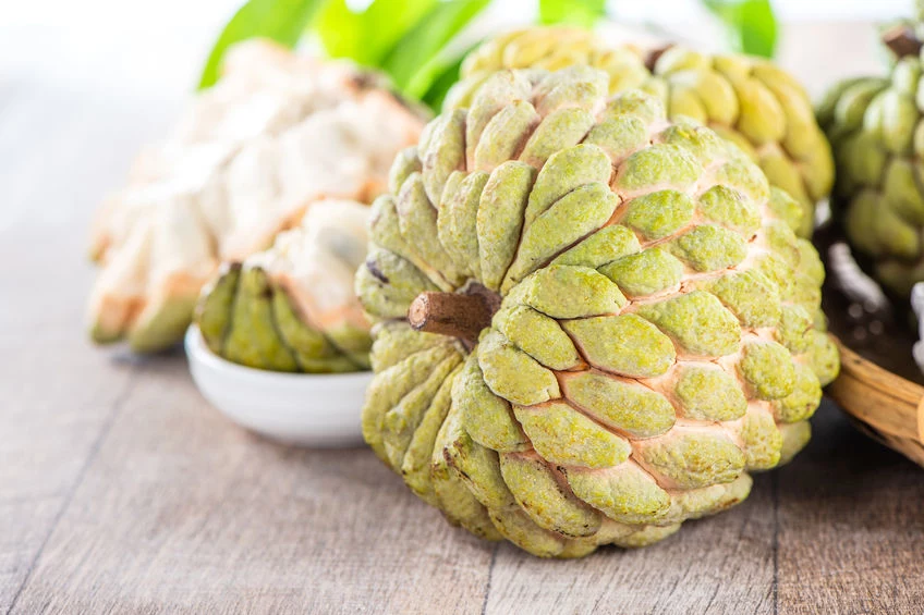 Cherimoya 