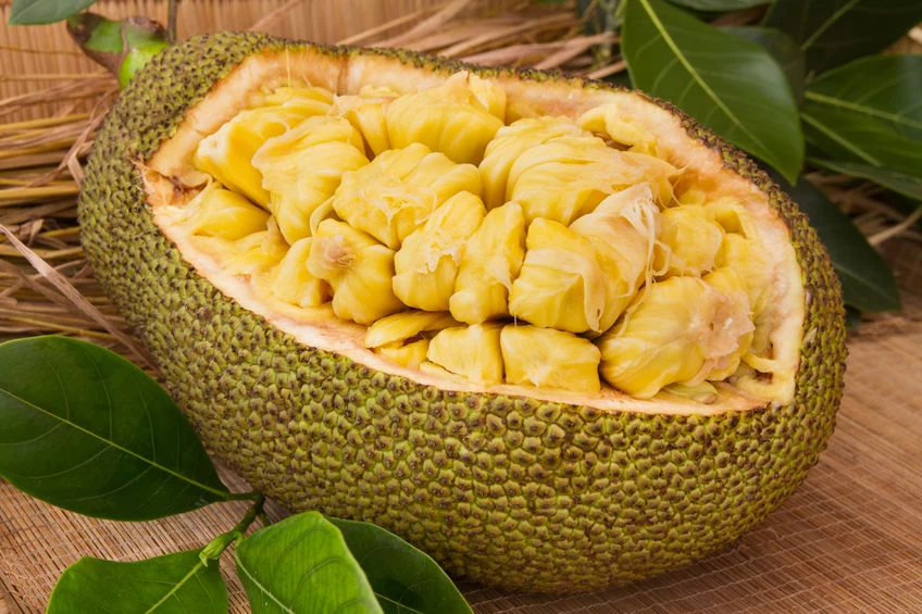 Jackfruit: Bomba witaminowa o leczniczych właściwościach - Kobieta w ...