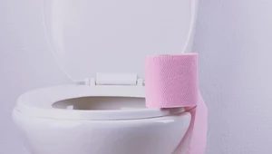 Sprawdzone sposoby na czystą toaletę 