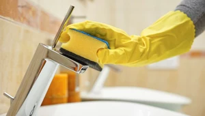 Domowe środki do czyszczenia łazienki: Przepisy