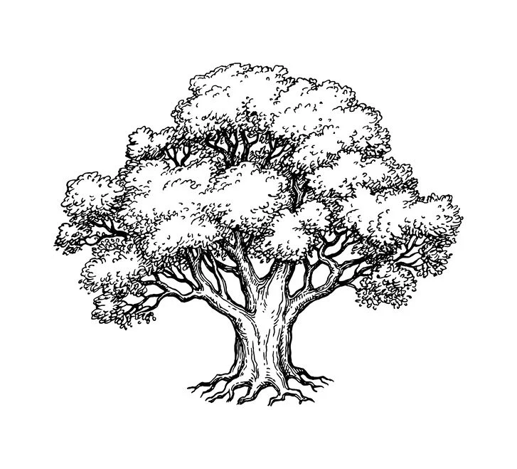 Przykładowe drzewo 