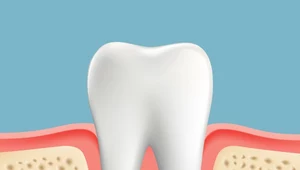 Jak pozbyć się bakterii wywołujących chorobę dziąseł?