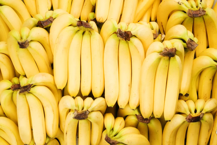 banan ukąszenia owadów