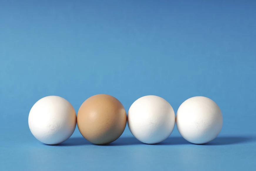 jajka białe czy brązowe
