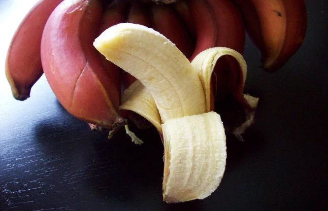 czerwone banany właściwości