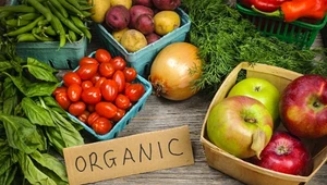 9 mitów na temat żywności organicznej