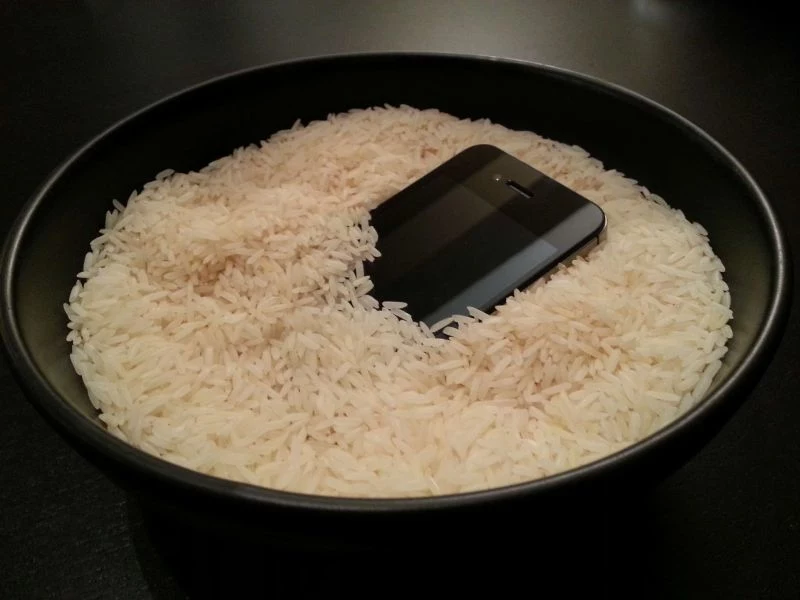 ryż suszenie