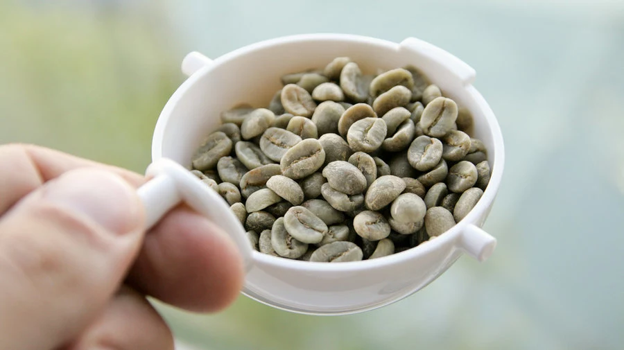 zielona kawa