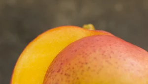 Dlaczego nie należy wyrzucać skórki z mango?